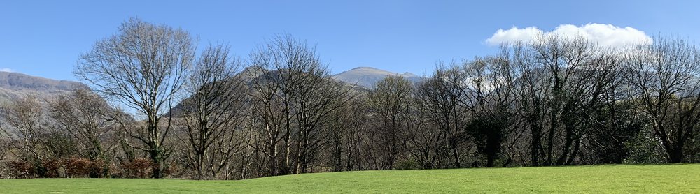 Yr Wyddfa seen across the home's field